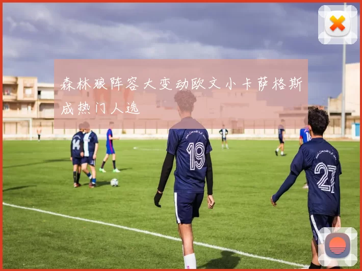 森林狼阵容大变动欧文小卡萨格斯成热门人选